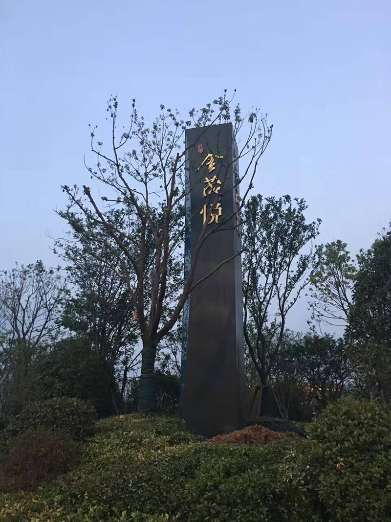 南京青龙山国际生态新城中心_东城金茂悦绿色生态规划_青龙山国际生态新城琅小入驻