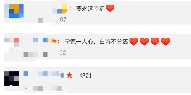 撒贝宁老婆图片大全_撒贝宁老婆李白出门聚会_撒贝宁和李白恩爱照片