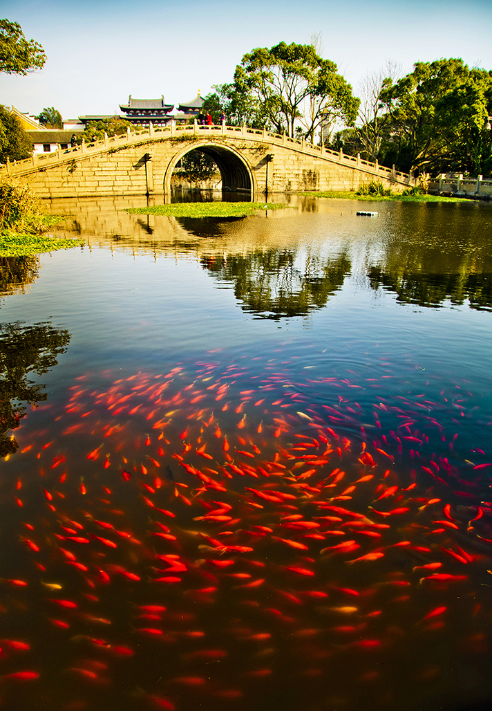 普陀山旅游攻略_普陀山景点介绍_南京去浙江普陀山旅游