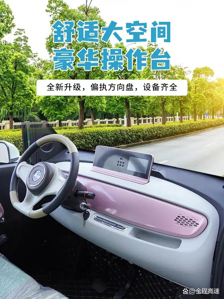 小型新能源电动车_星彭新能源电动四轮车 女性专用小型家用油电两用云朵老头乐代步车电瓶车 质量评估