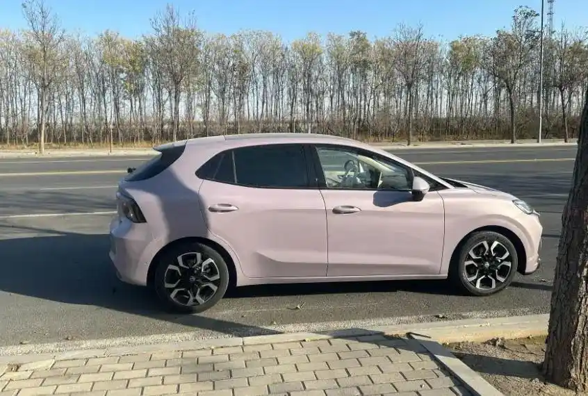 小型新能源电动车_2026年小型轿车销量排名_新能源自主品牌轿车市场分析