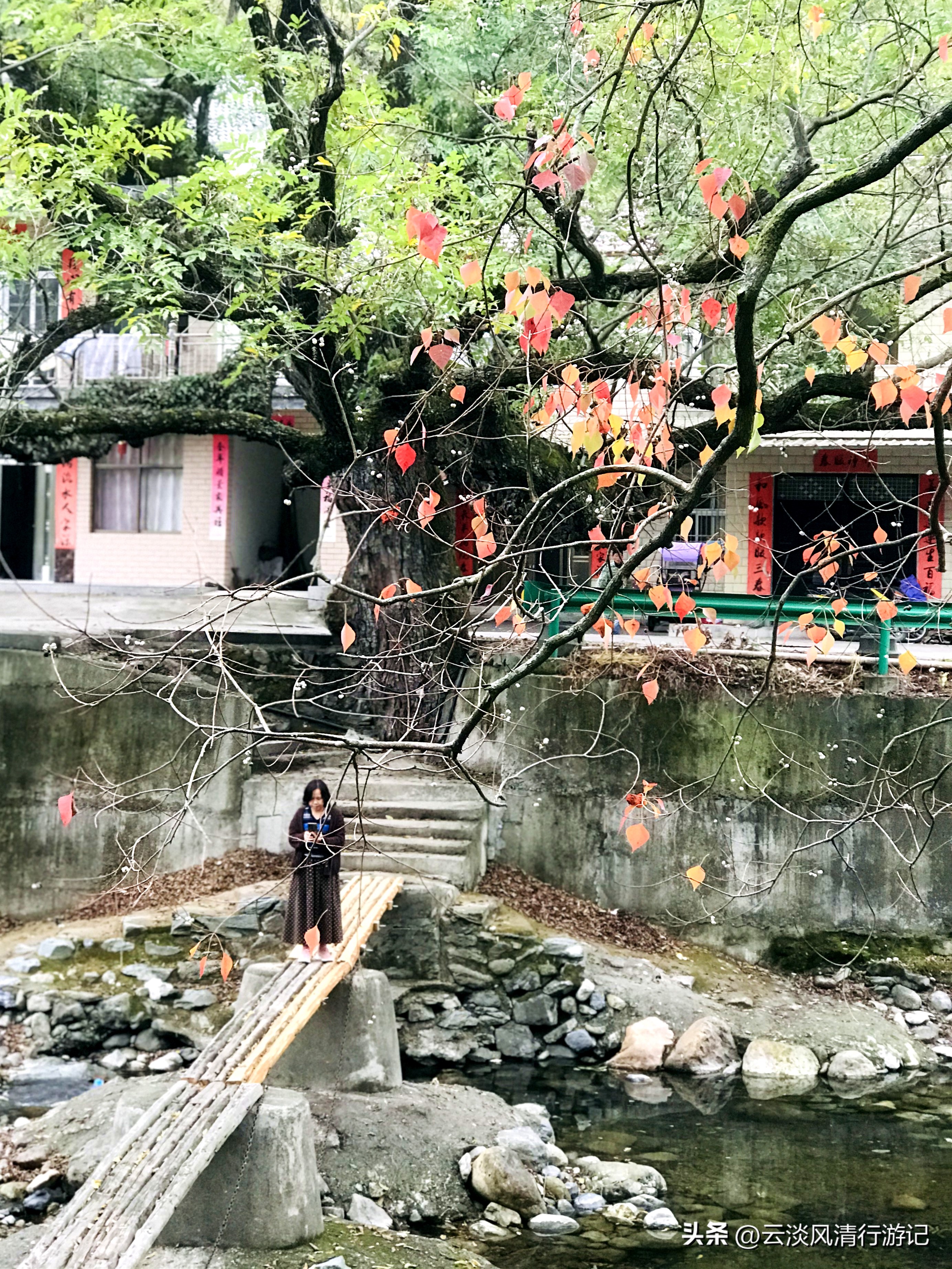 安徽石台生态游_石台天路自驾游攻略_安徽最美秋色赏秋路线