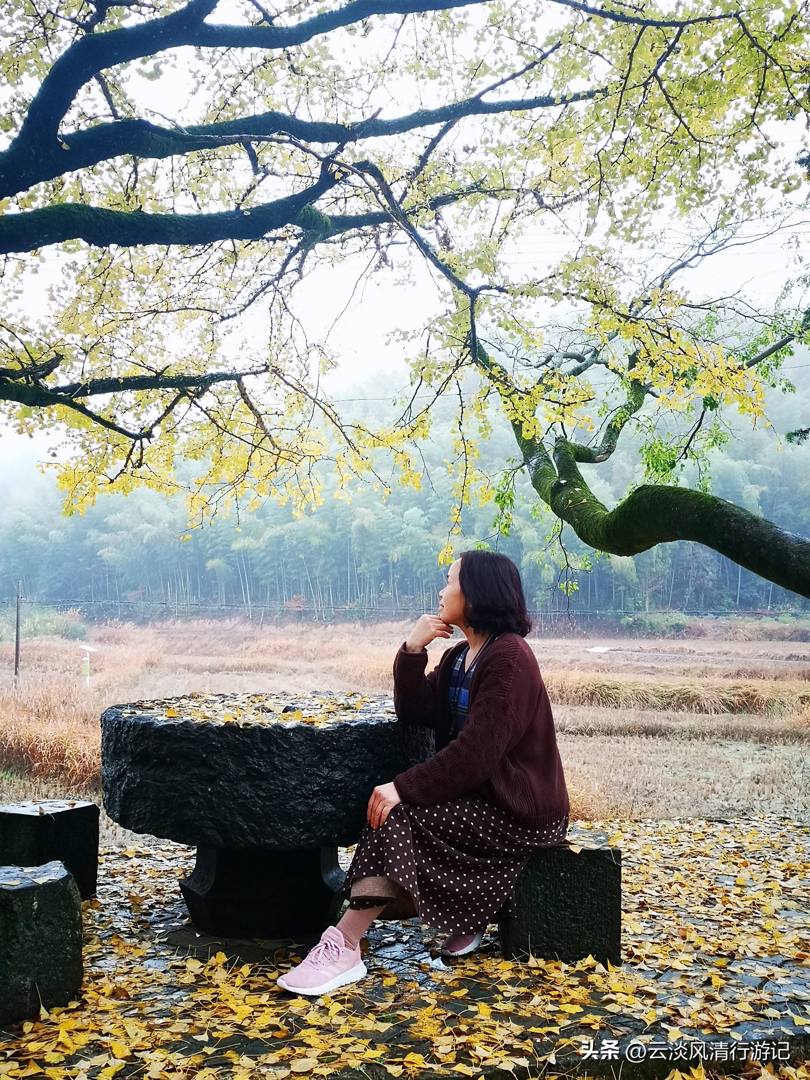 石台天路自驾游攻略_安徽最美秋色赏秋路线_安徽石台生态游