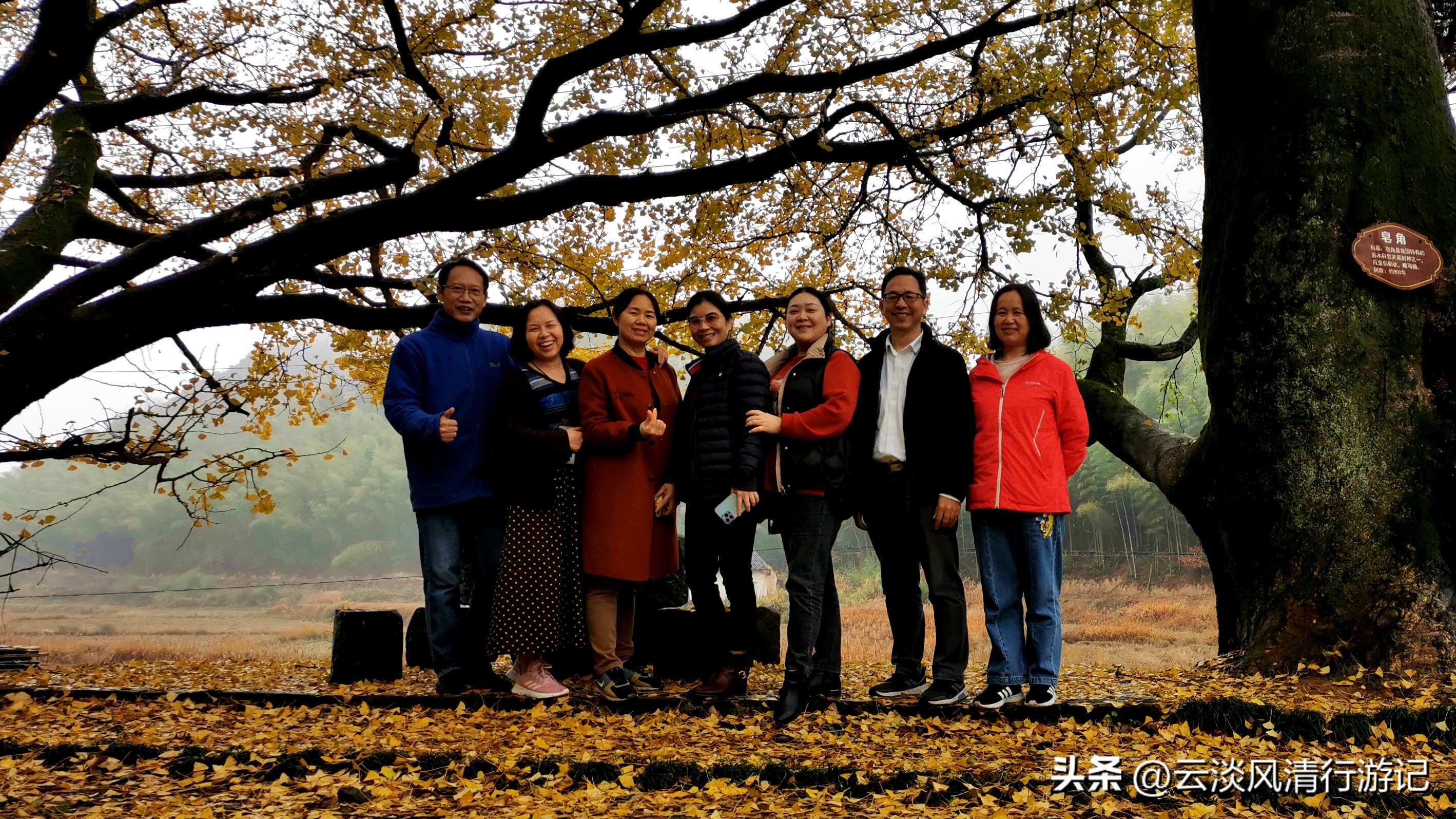 安徽最美秋色赏秋路线_石台天路自驾游攻略_安徽石台生态游