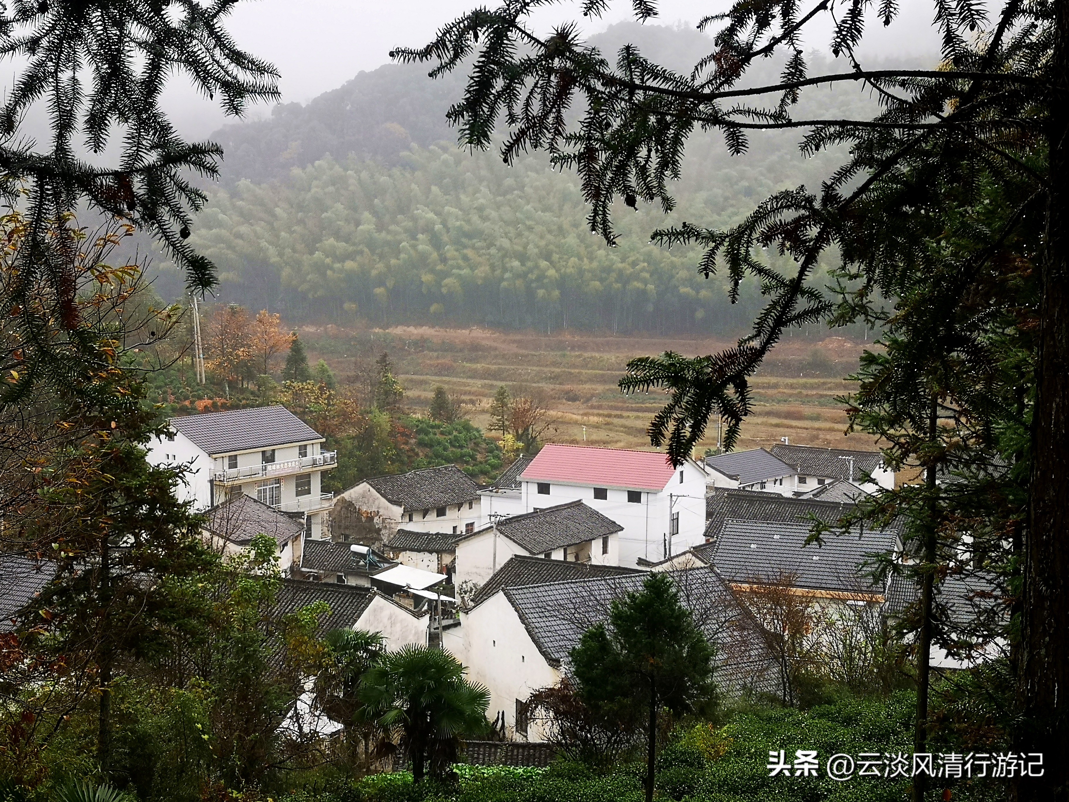 安徽石台生态游_安徽池州奇峰村自驾露营徒步_安徽池州奇峰村古村落旅游攻略