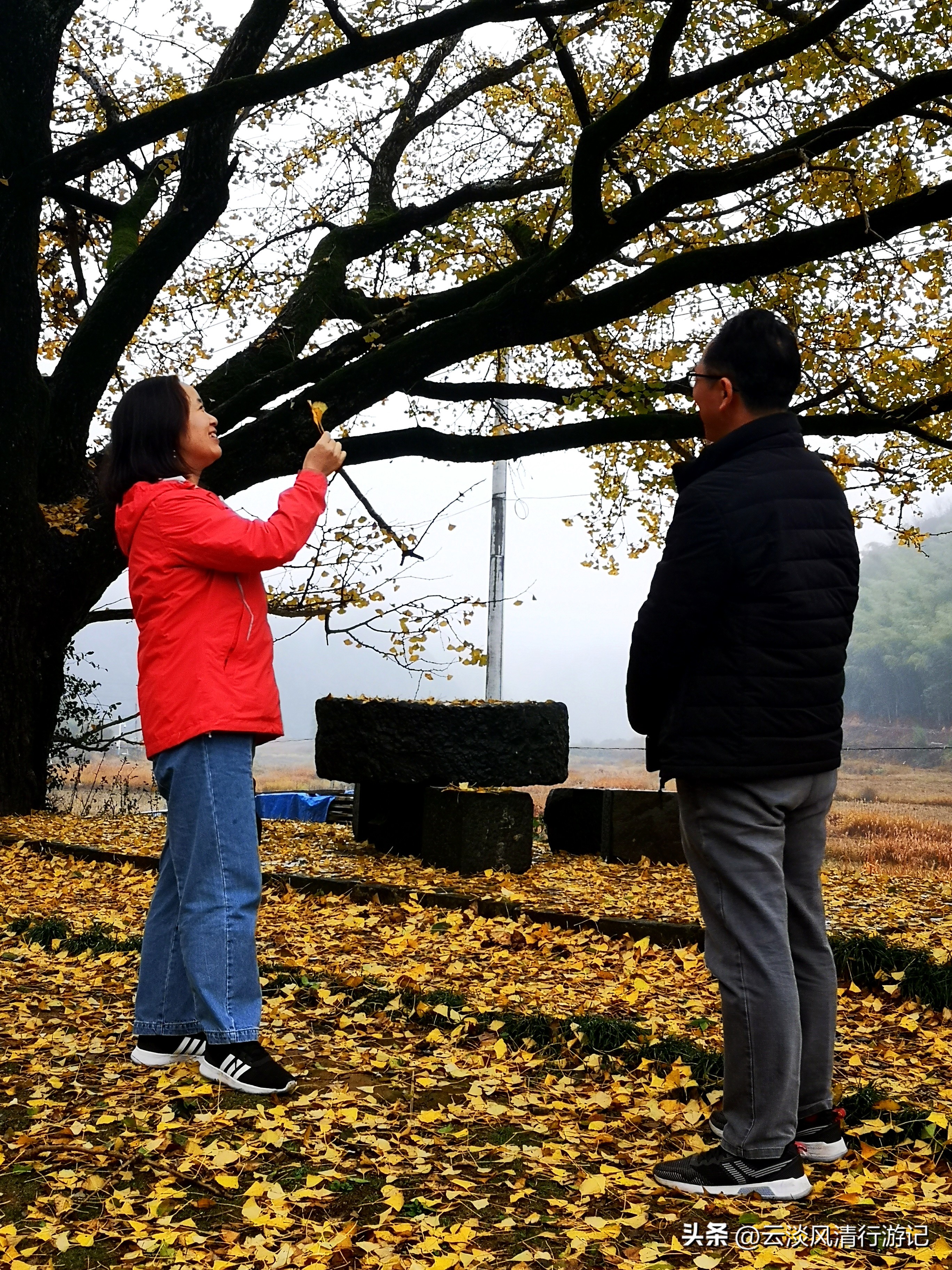安徽石台生态游_安徽池州奇峰村自驾露营徒步_安徽池州奇峰村古村落旅游攻略