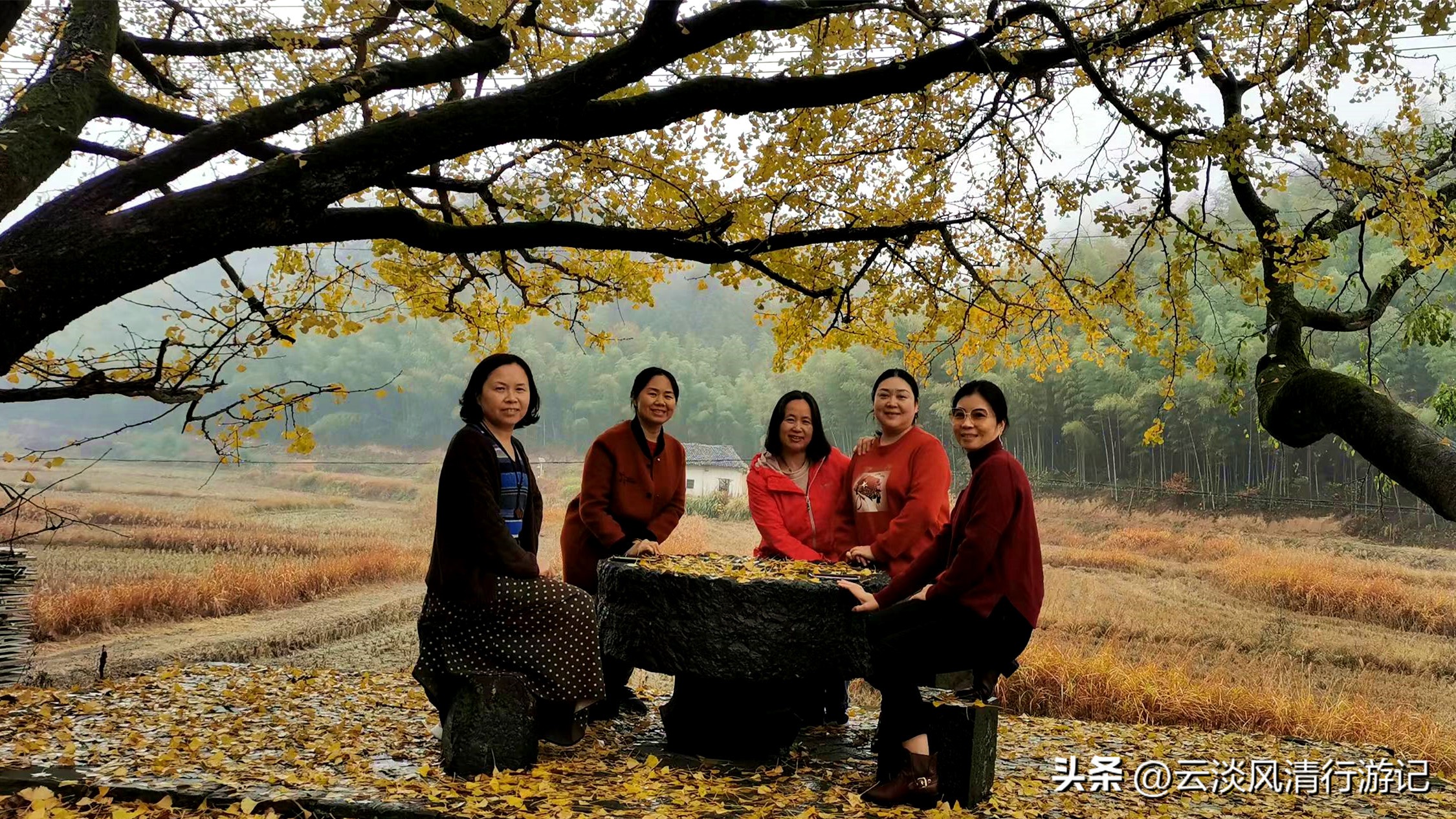 安徽石台生态游_安徽池州奇峰村古村落旅游攻略_安徽池州奇峰村自驾露营徒步