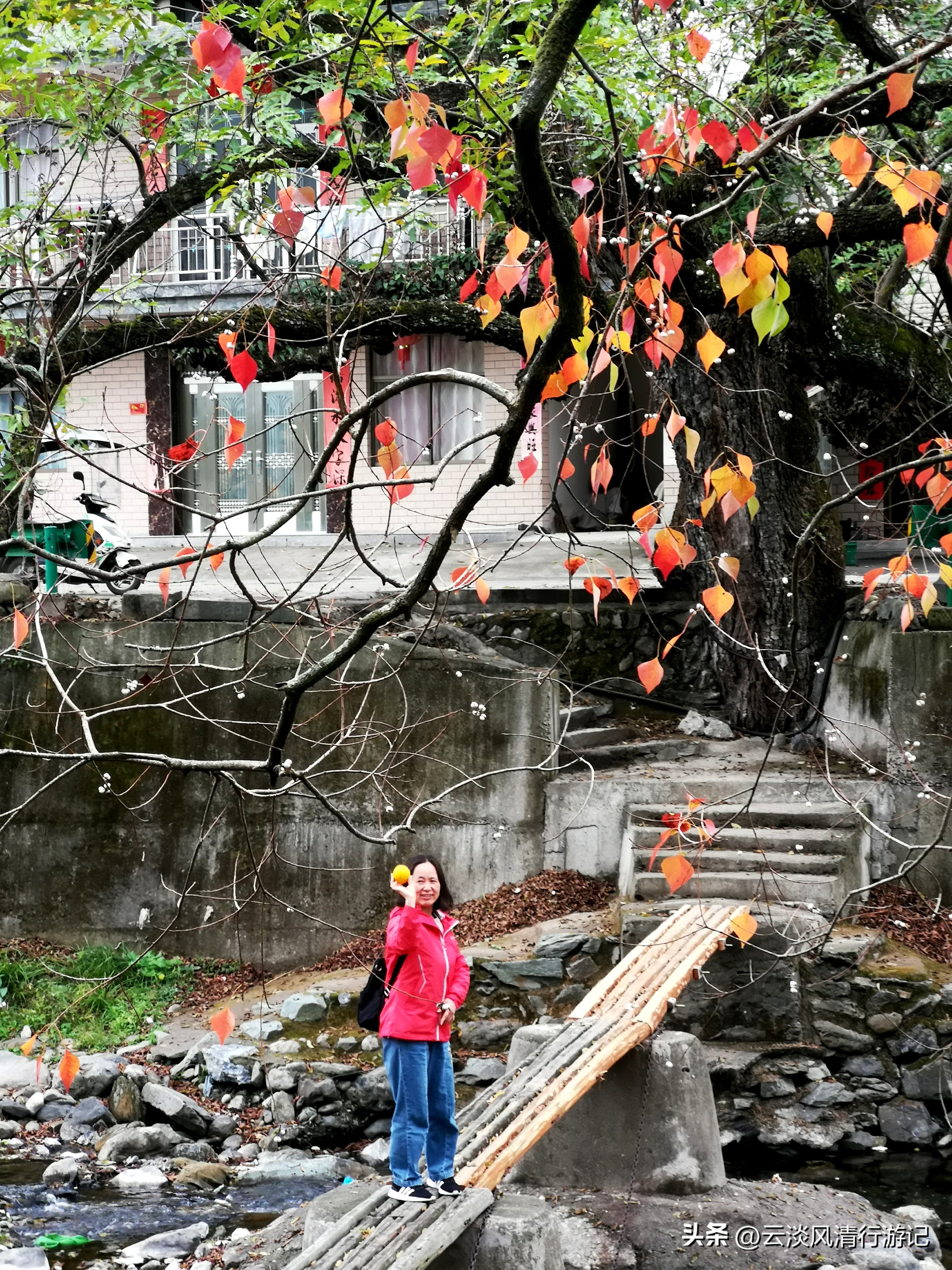 安徽池州奇峰村自驾露营徒步_安徽池州奇峰村古村落旅游攻略_安徽石台生态游