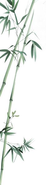 石台县康养文旅能级提升_牯牛降景区国家5A级景区创建_安徽石台生态游