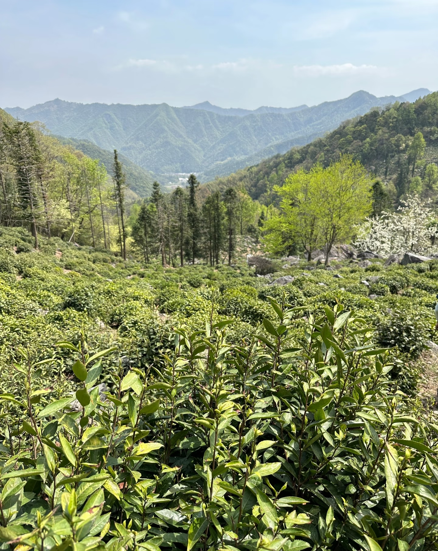 石台县骑行赛_安徽石台生态游_牯牛降国家级公路自行车公开赛