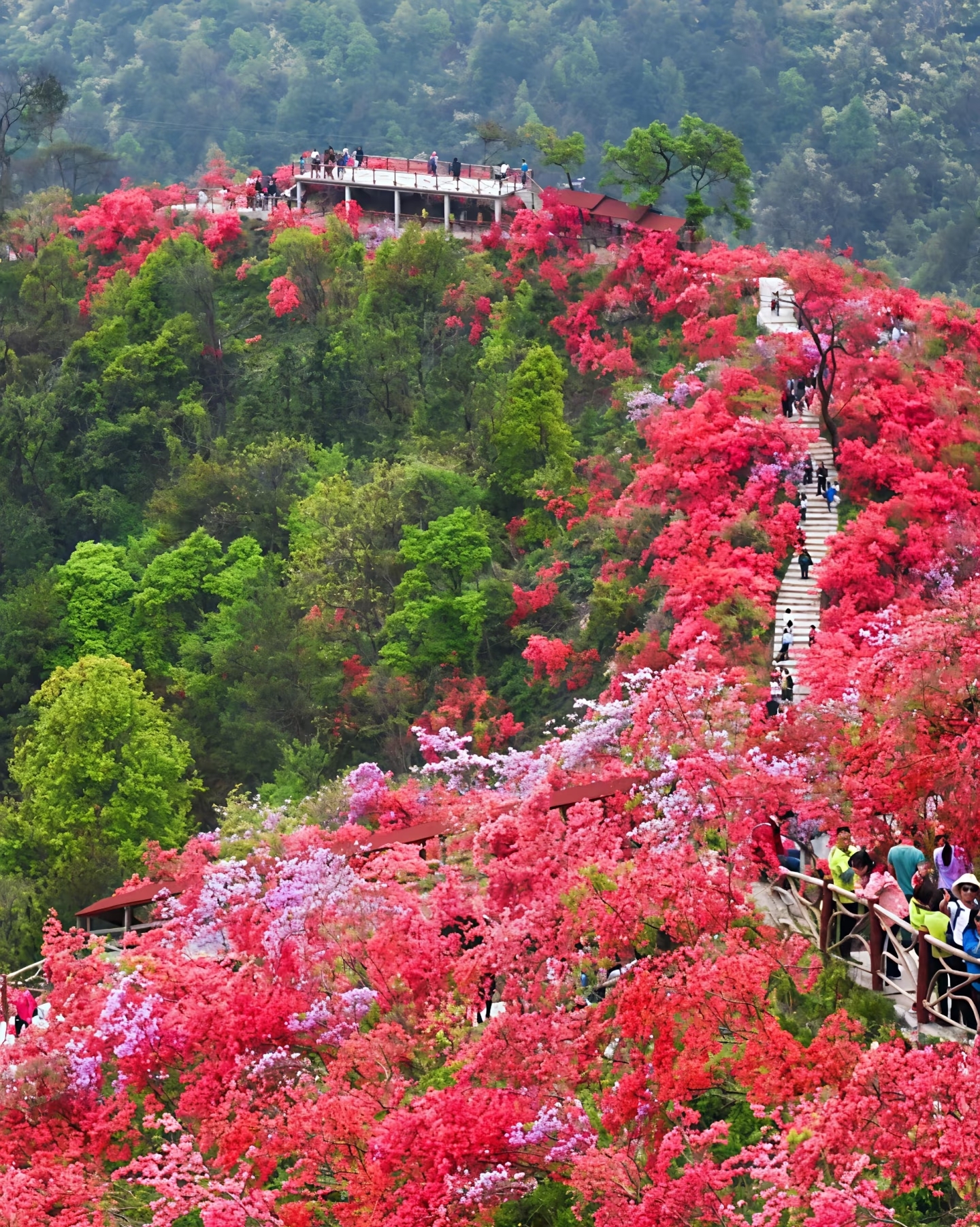 牯牛降国家级公路自行车公开赛_石台县骑行赛_安徽石台生态游