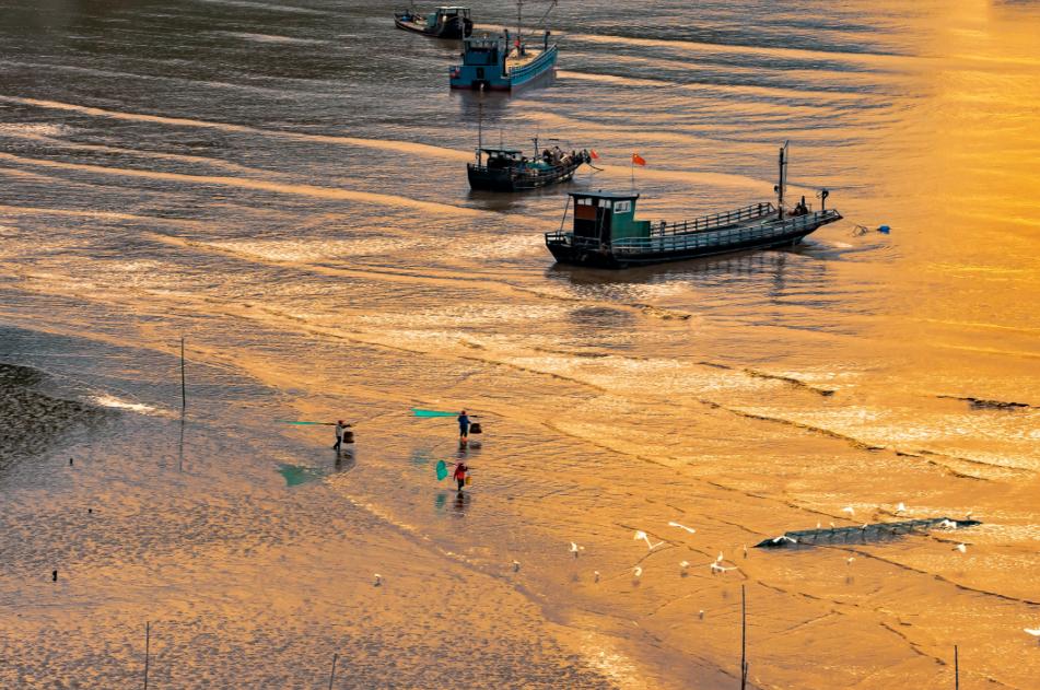 平潭岛赶海点_福州连江赶海一号_福建赶海攻略