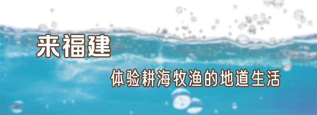 福州连江赶海一号_平潭岛赶海点_福建赶海攻略