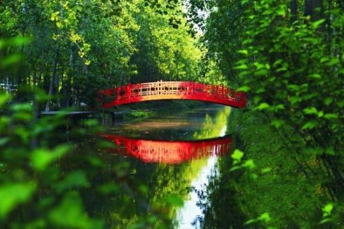 滨湖湿地森林公园 秋季郊游攻略 合肥国家森林公园_合肥滨湖生态湿地公园怎么去