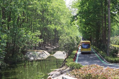 滨湖湿地森林公园 秋季郊游攻略 合肥国家森林公园_合肥滨湖生态湿地公园怎么去