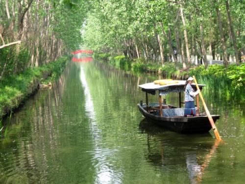 合肥滨湖生态湿地公园怎么去_滨湖湿地森林公园 秋季郊游攻略 合肥国家森林公园