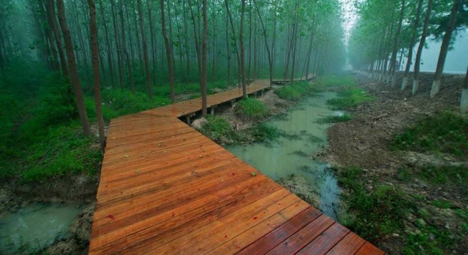 合肥滨湖生态湿地公园怎么去_滨湖湿地森林公园 秋季郊游攻略 合肥国家森林公园