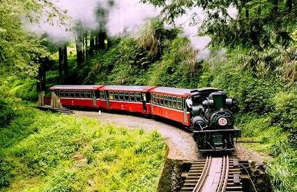 滨湖湿地森林公园 秋季郊游攻略 合肥国家森林公园_合肥滨湖生态湿地公园怎么去