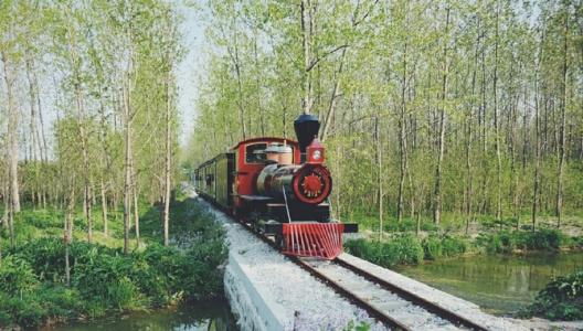 合肥滨湖生态湿地公园怎么去_滨湖湿地森林公园 秋季郊游攻略 合肥国家森林公园