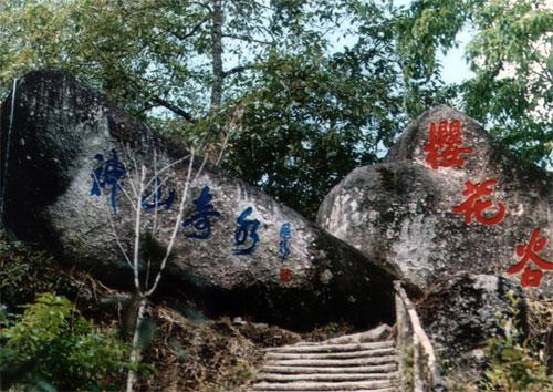 滨湖湿地森林公园 秋季郊游攻略 合肥国家森林公园_合肥滨湖生态湿地公园怎么去