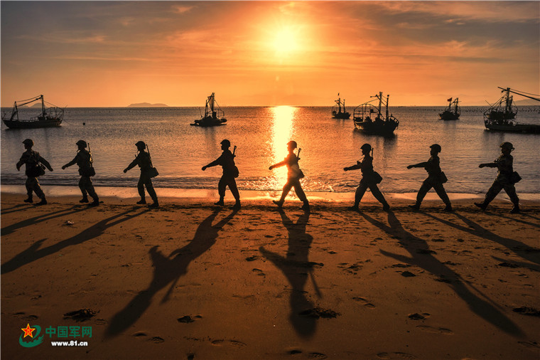 新型陆军建设成就_陆军实战化训练发展_建军90周年阅兵图片