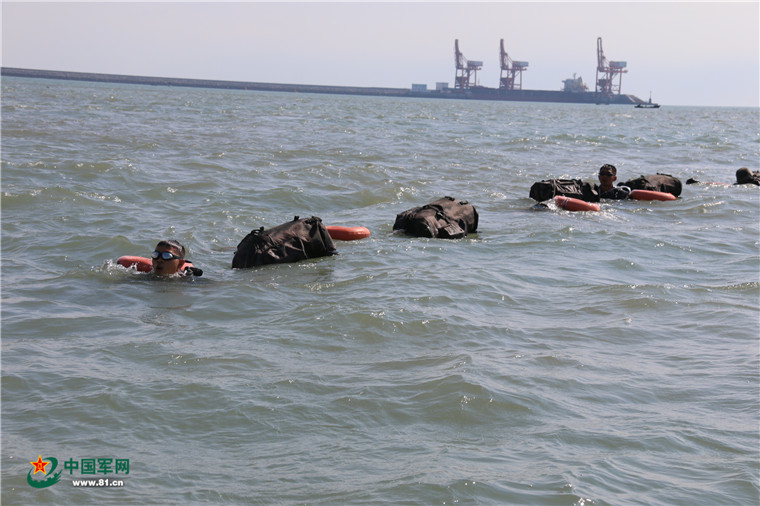 陆军实战化训练发展_建军90周年阅兵图片_新型陆军建设成就