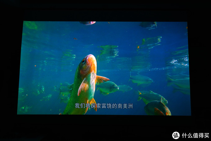 音响搭配方案_家庭影院投影机选购_dvd怎么连接电视教程