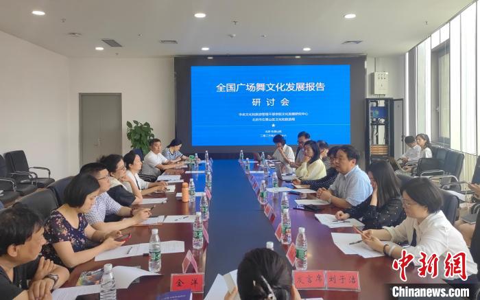 广场舞文化发展报告 专家研讨会_中国式行进广场舞 编排过程_广场舞 文化