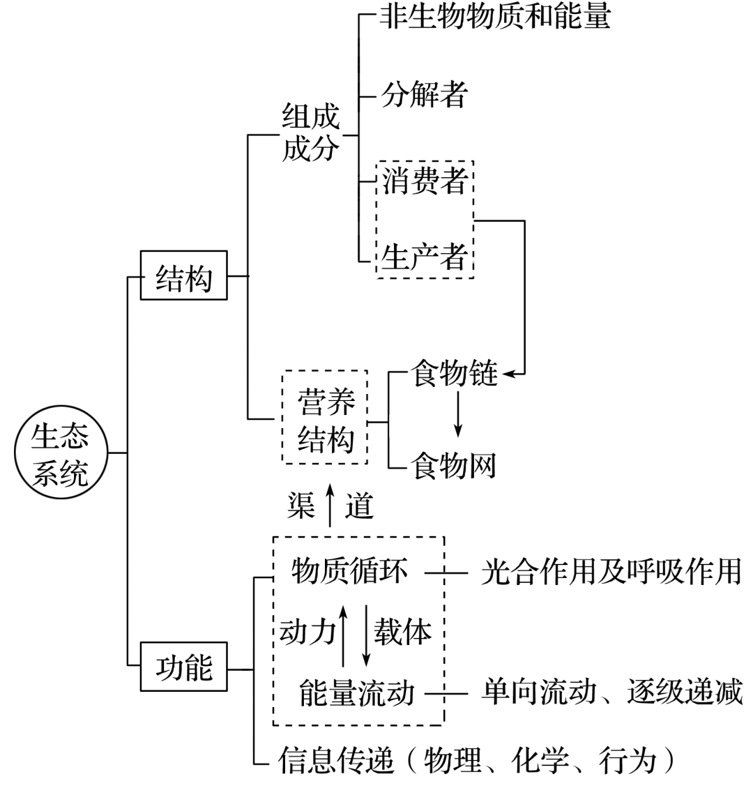生态系统营养结构分析_生态系统结构图_生态系统组成成分判断