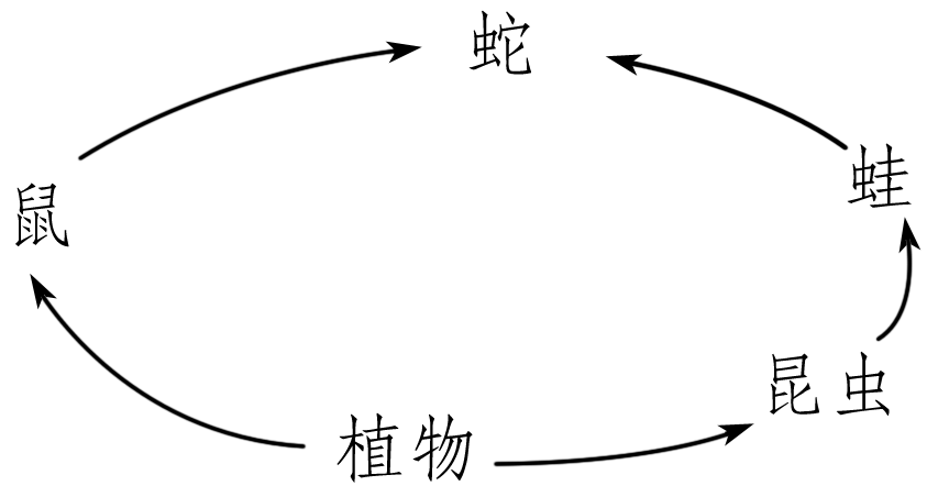生态系统营养结构分析_生态系统结构图_生态系统组成成分判断
