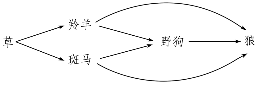 生态系统组成成分判断_生态系统营养结构分析_生态系统结构图