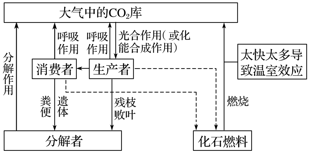生态系统组成成分判断_生态系统结构图_生态系统营养结构分析