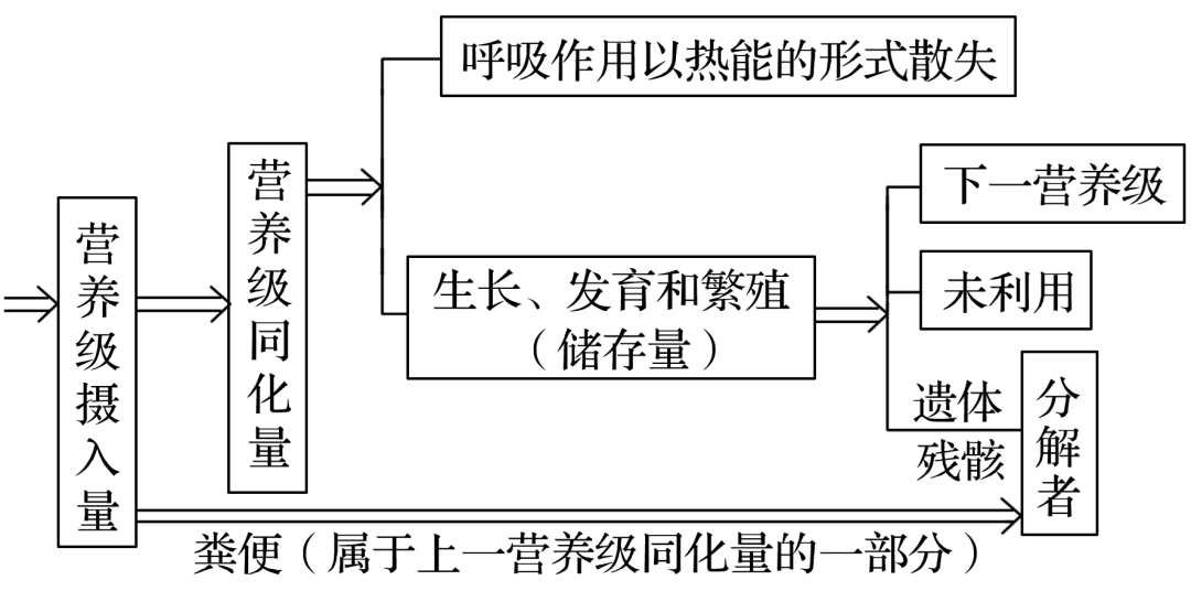 生态系统营养结构分析_生态系统结构图_生态系统组成成分判断