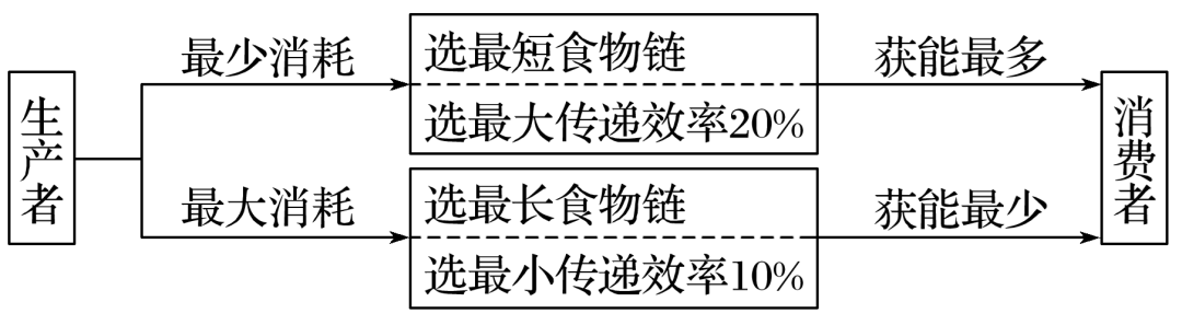 生态系统结构图_生态系统组成成分判断_生态系统营养结构分析