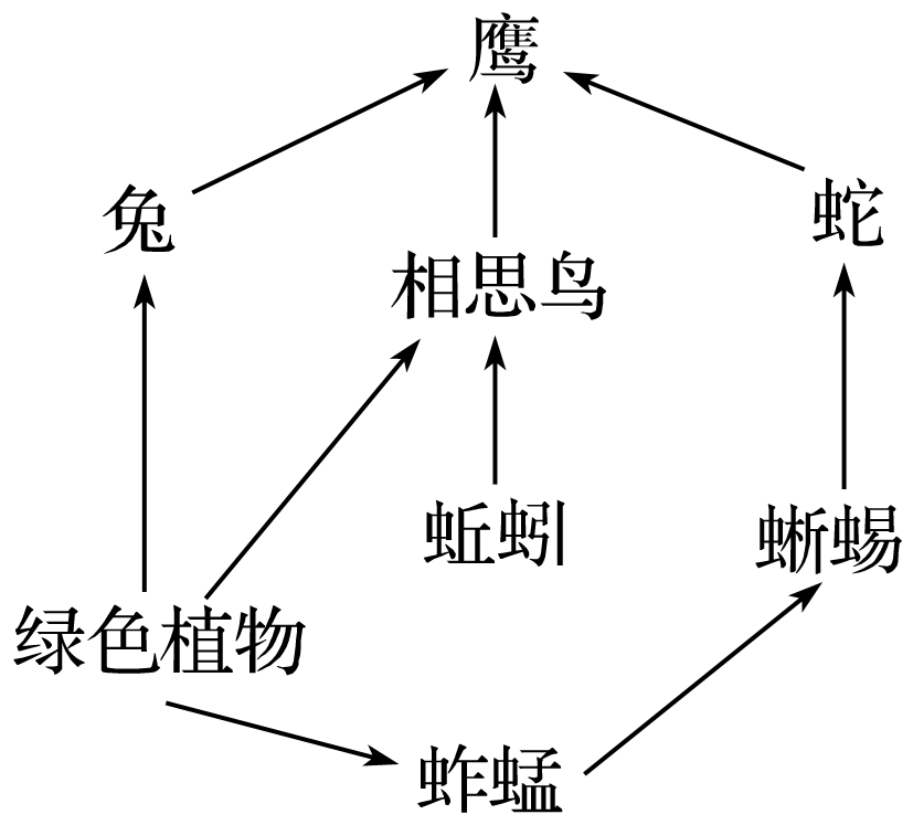 生态系统结构图_生态系统营养结构分析_生态系统组成成分判断