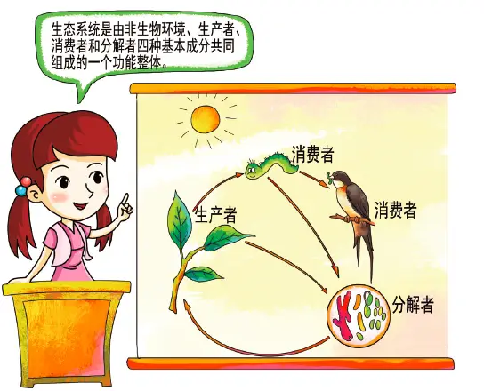 生态系统组成成分_人工生态系统_自然生态系统类型