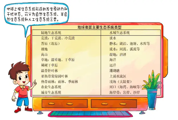 人工生态系统_生态系统组成成分_自然生态系统类型