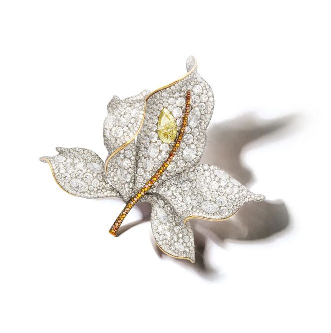 穿普拉达的 免费观看_穿普拉达的女王2 安妮海瑟薇 梅丽尔斯特里普_穿普拉达的女王2 上海首映 本土品牌合作