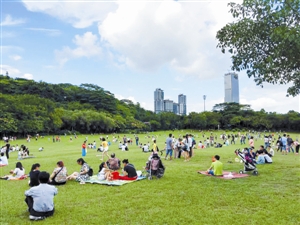 莲花山公园垃圾不落地宣传_深圳义工联环保生态组_深圳垃圾分类志愿者活动