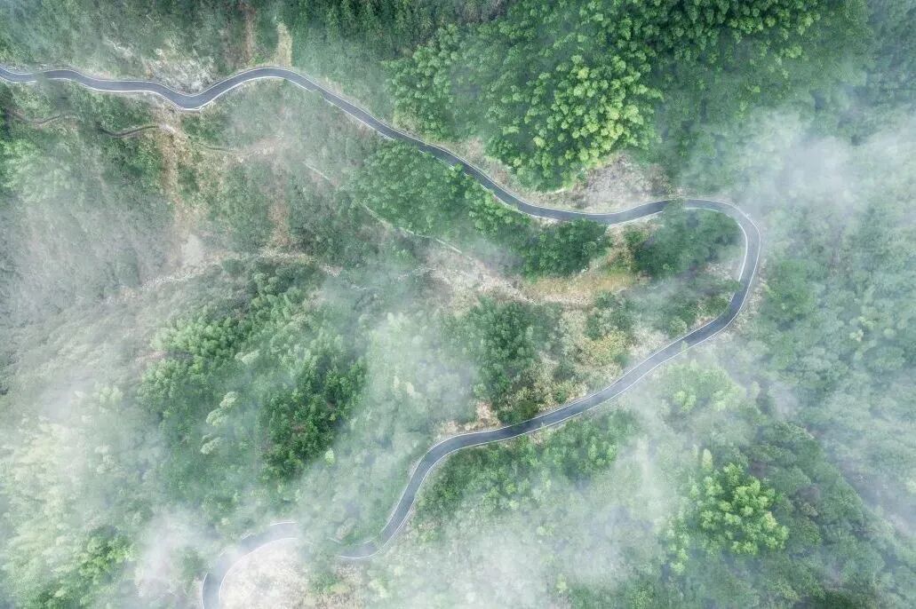 畲族的文化_畲族与瑶族关系_畲族历史渊源