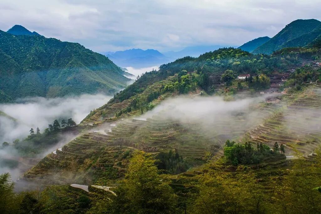 畲族与瑶族关系_畲族历史渊源_畲族的文化