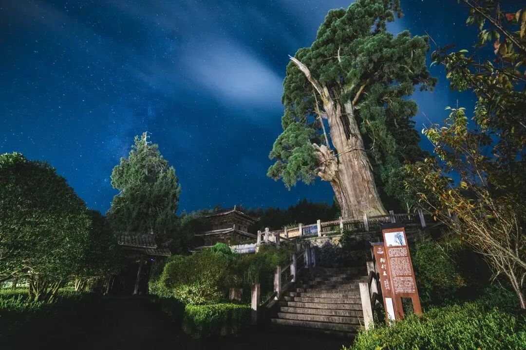 畲族的文化_畲族历史渊源_畲族与瑶族关系