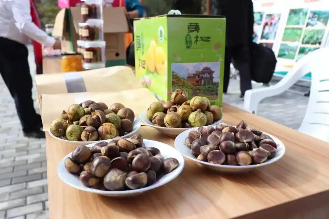 畲族分布省份_畲族的文化_畲族年庆祝活动