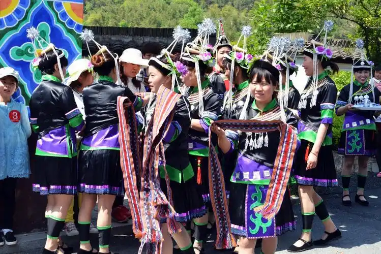 畲族年庆祝活动_畲族分布省份_畲族的文化