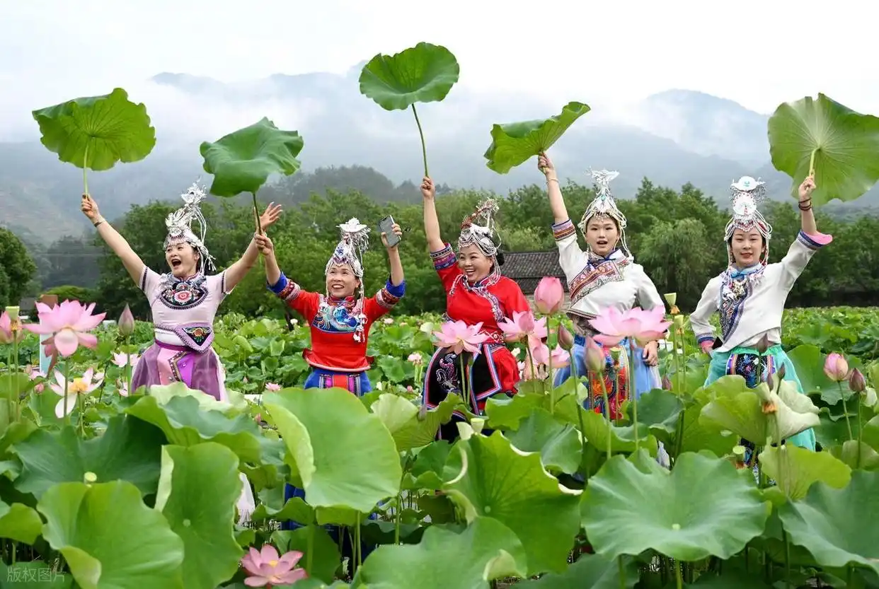 畲族凤凰装文化_畲族起源之谜_畲族的文化