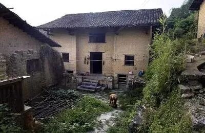 畲族风俗习惯介绍_畲族传统节日习俗_畲族的文化