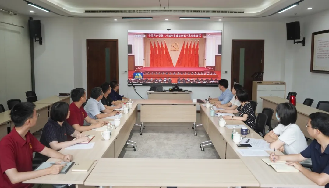 经济学院_学习贯彻党的二十届三中全会精神_党纪学习教育