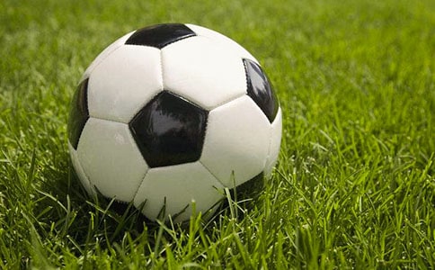 足球健将作文（通用15篇）