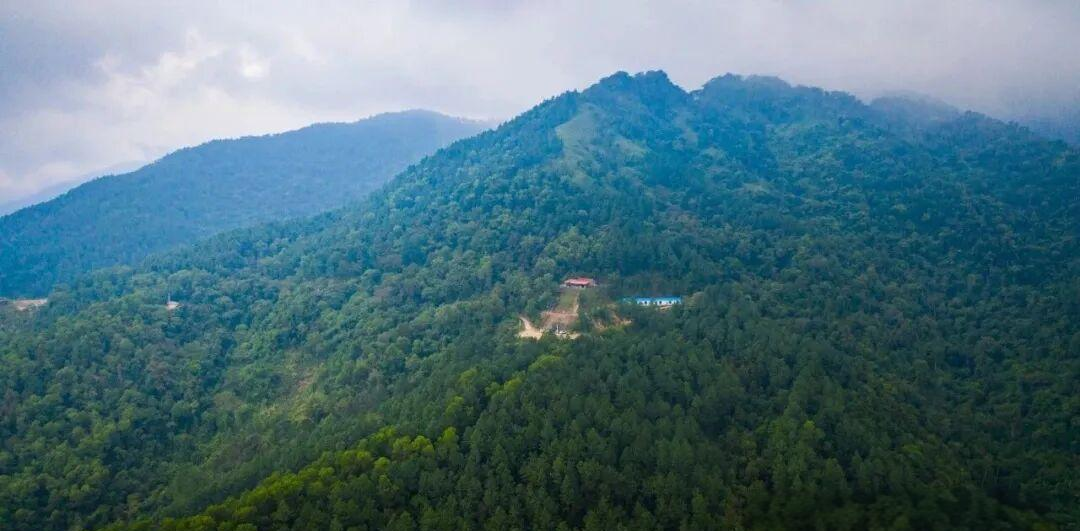 海南市县常住人口排名_海南市县面积排名_海南省三江镇人口