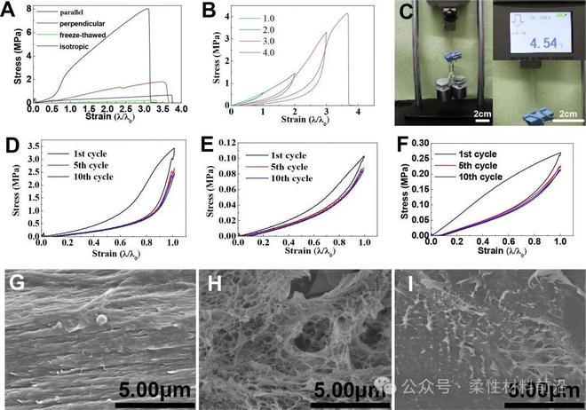 仿生各向异性PVA水凝胶制备方法_聚乙烯醇价格_动态硼酸酯键辅助聚乙烯醇水凝胶时空可控交联